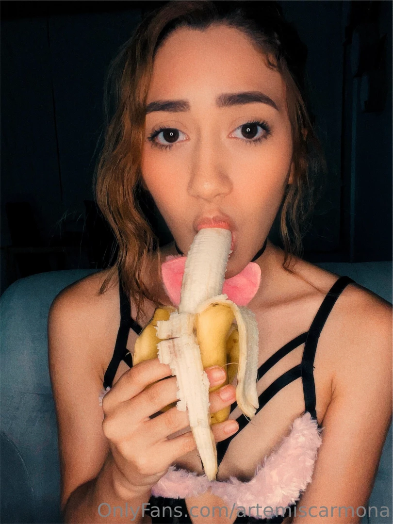 Artemiscarmona part 57 