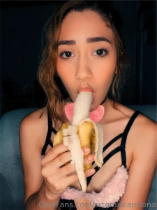 Artemiscarmona part 57