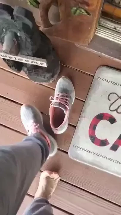 Sometimes you know they ll need to go outside so step out of them 