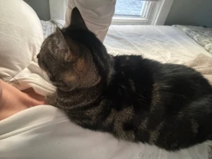 Running late this is my cat rn lol but i ll be on soon