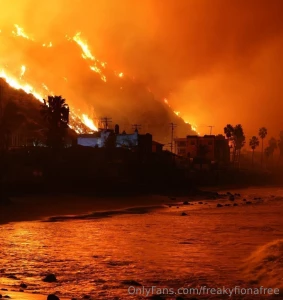 My entire city of los angeles is burning amp i ve been ordered to