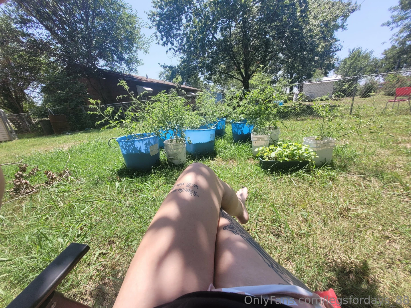 Just watering my babies what kind of plants do you like to grow how 