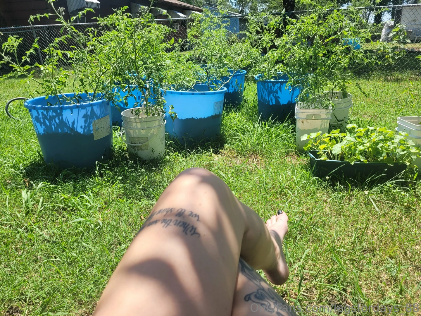 Just watering my babies what kind of plants do you like to grow how part 1 