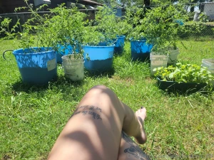 Just watering my babies what kind of plants do you like to grow how part 1