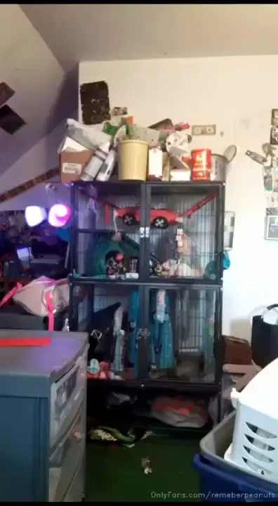 Stream started at 07 05 2022 04 24 pm 