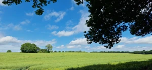 An update on a couple of things 1 the camera donation fund has hit 493 part 1