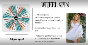 Wheel spin - 5 spin 14 different prizes each time your spin your prize part 3