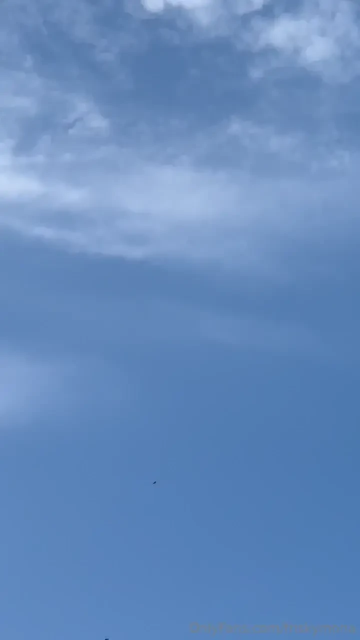 Was outside yesterday so many dragonfly s out there if you can t tell part 1 