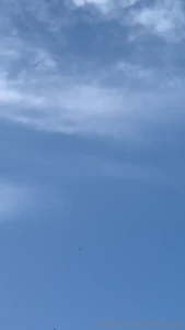 Was outside yesterday so many dragonfly s out there if you can t tell part 1