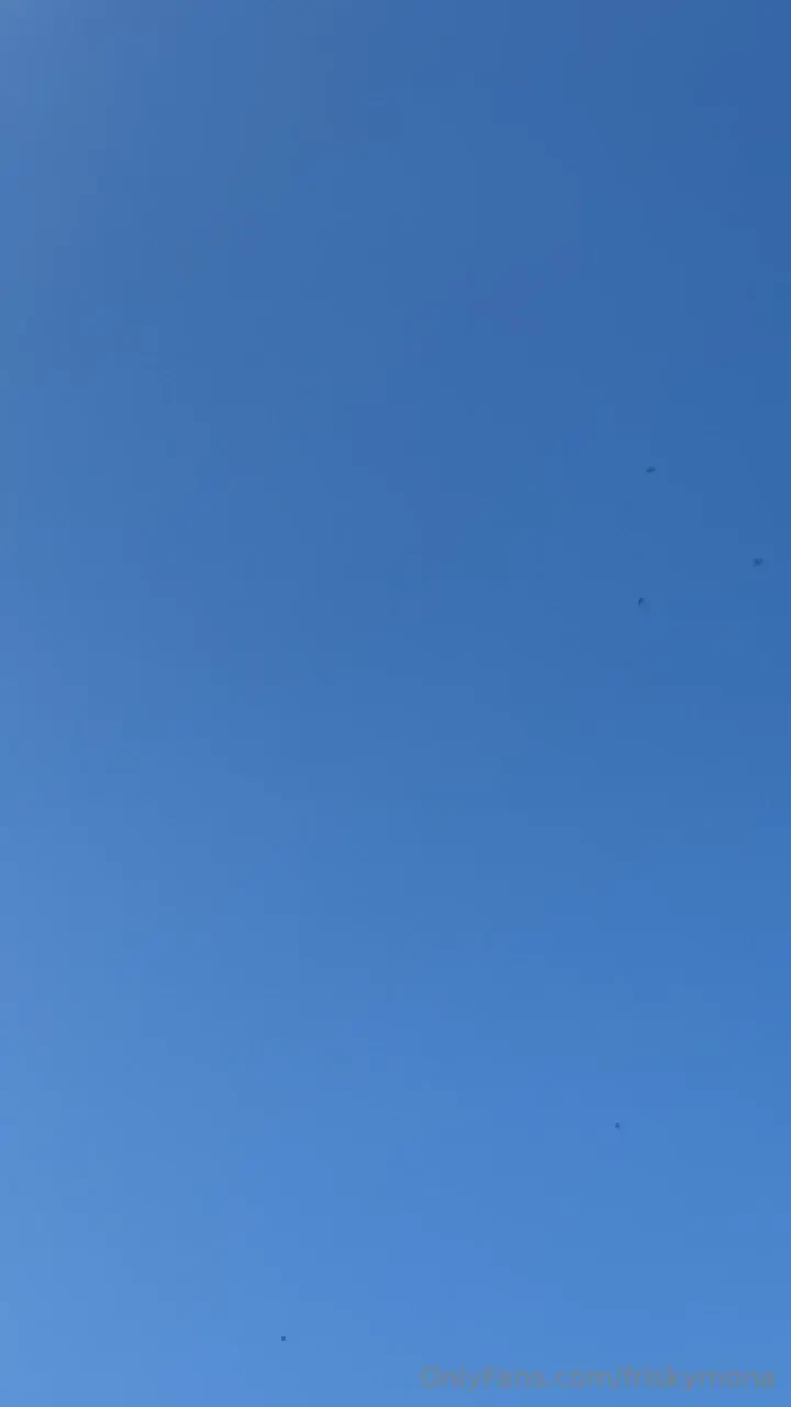 Was outside yesterday so many dragonfly s out there if you can t tell 