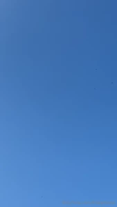 Was outside yesterday so many dragonfly s out there if you can t tell