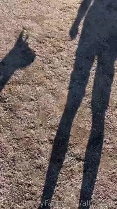 Mit luulet tulisikohan mun koirasta kki pullukka vaikka se tekisi 