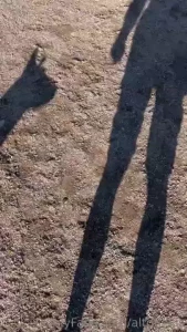 Mit luulet tulisikohan mun koirasta kki pullukka vaikka se tekisi