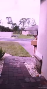Delivery