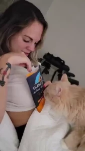Cat stole my jerky