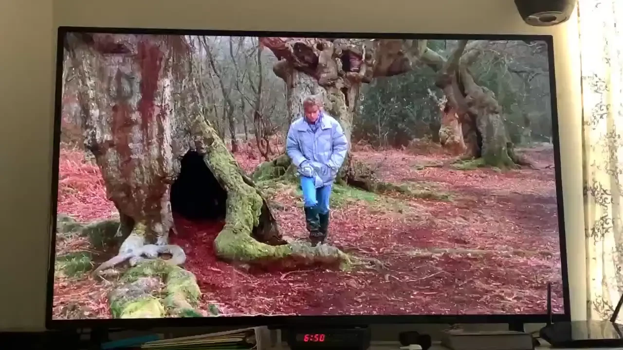 Watched some weird shit last night you ever seen these movies 