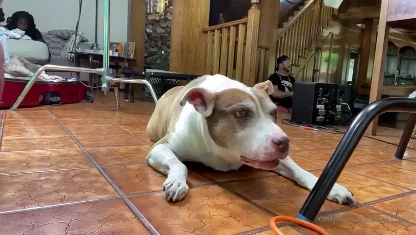 Always making friends on set are you a dog person slide into my dms 