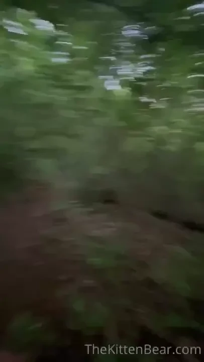 Taking some time in my backyard on private property to enjoy some dad 