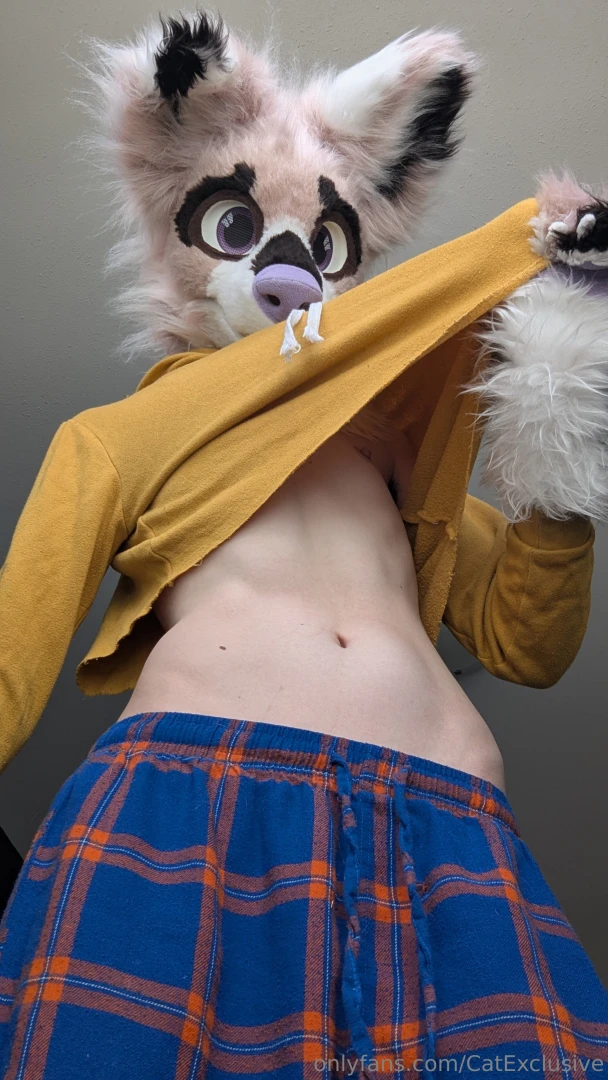 Puppies love to tease 3 