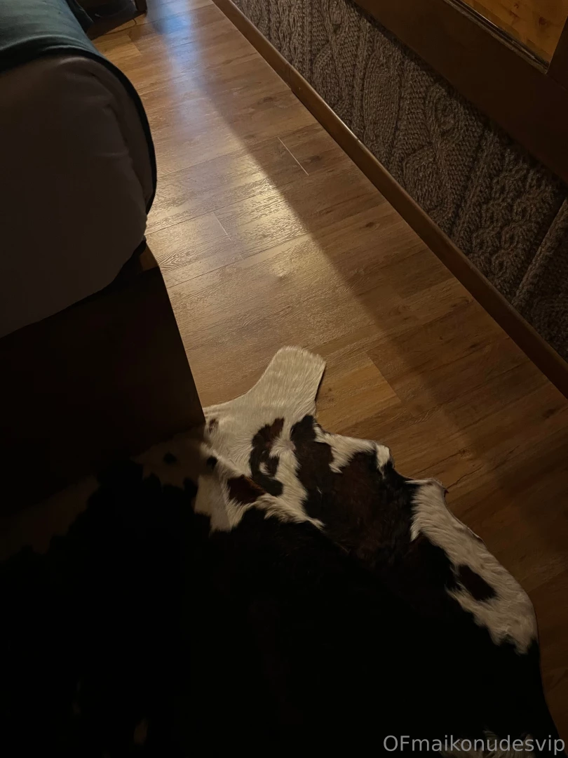 Nice morning with my fan 