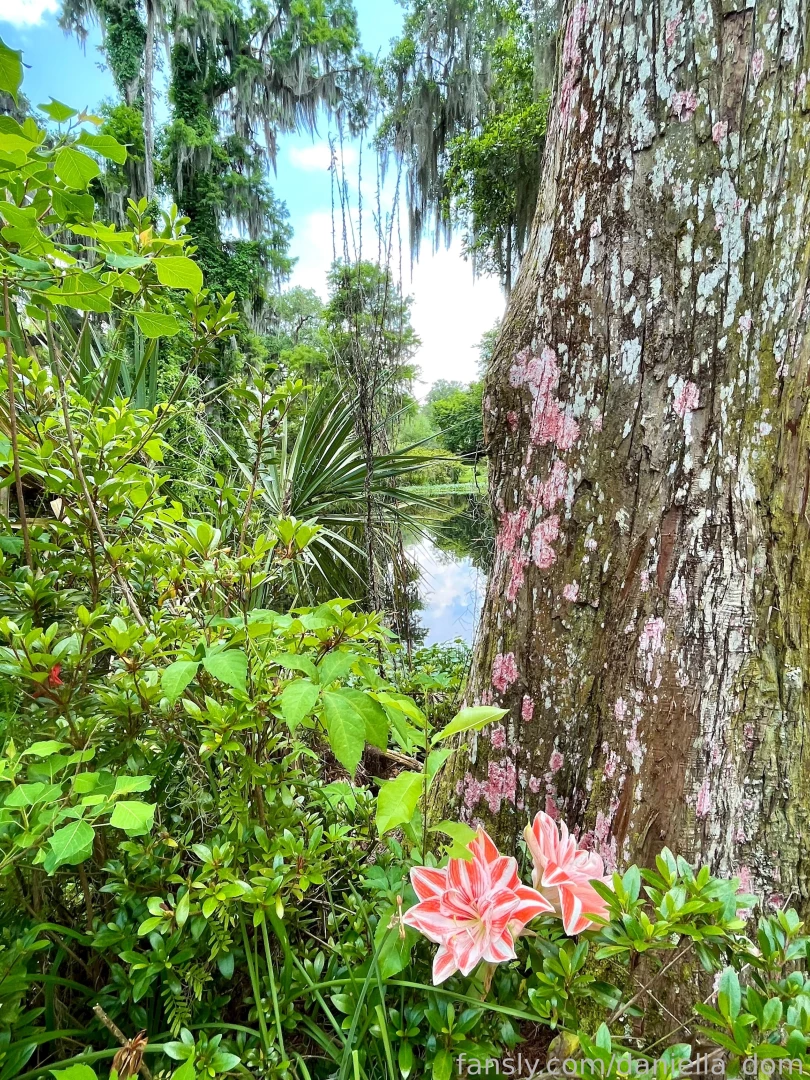 Flashing in nature makes me one happy gal flashing tits smalltits part 1 
