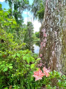 Flashing in nature makes me one happy gal flashing tits smalltits part 1