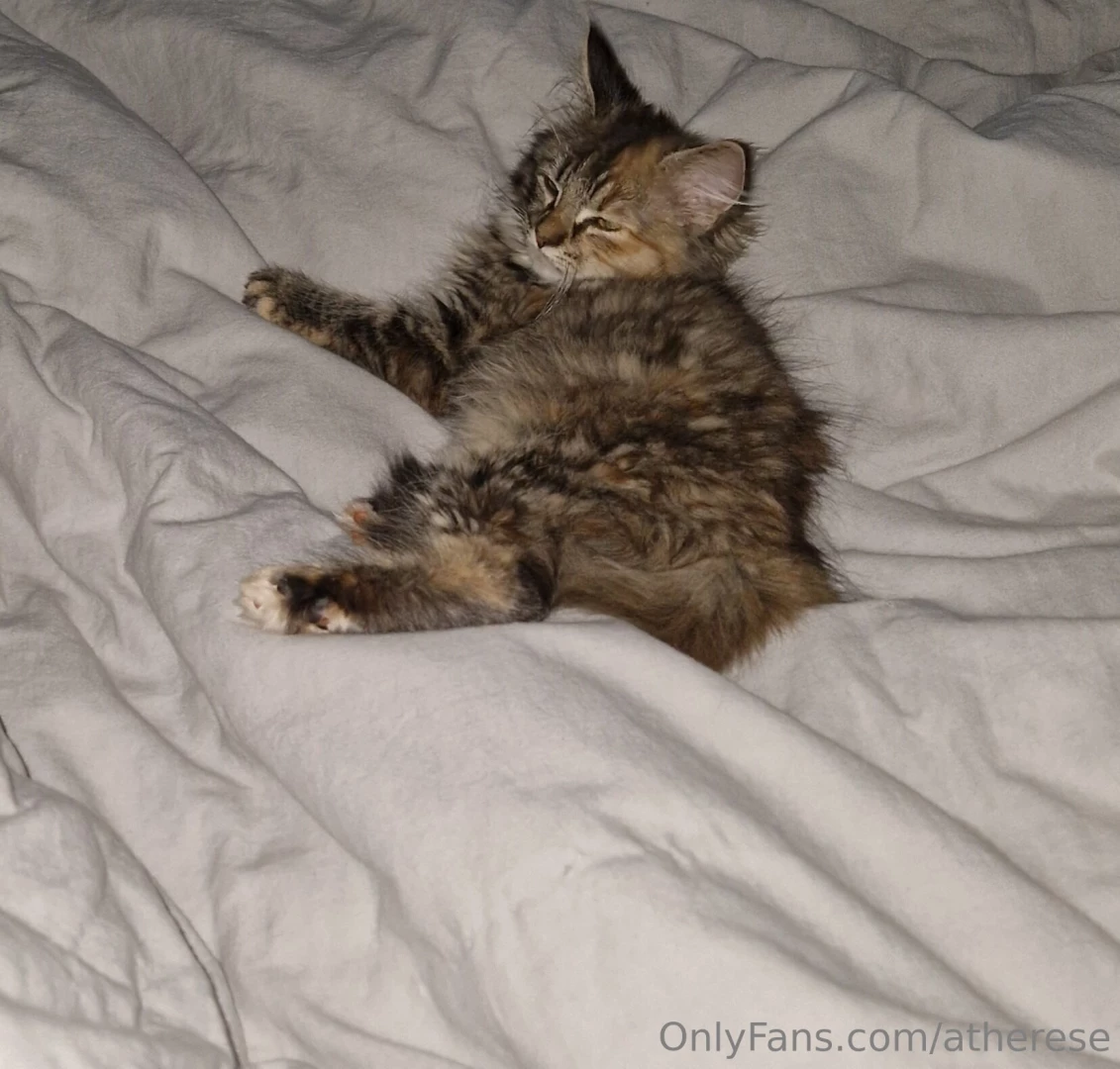 Vilken midsommarhelg svarar er s fort jag f r tid ska njuta av solen part 1 