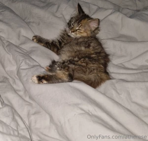 Vilken midsommarhelg svarar er s fort jag f r tid ska njuta av solen part 1