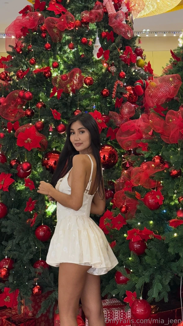 I wish you all a merry christmas i wish you all your dreams and wishes 