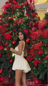 I wish you all a merry christmas i wish you all your dreams and wishes