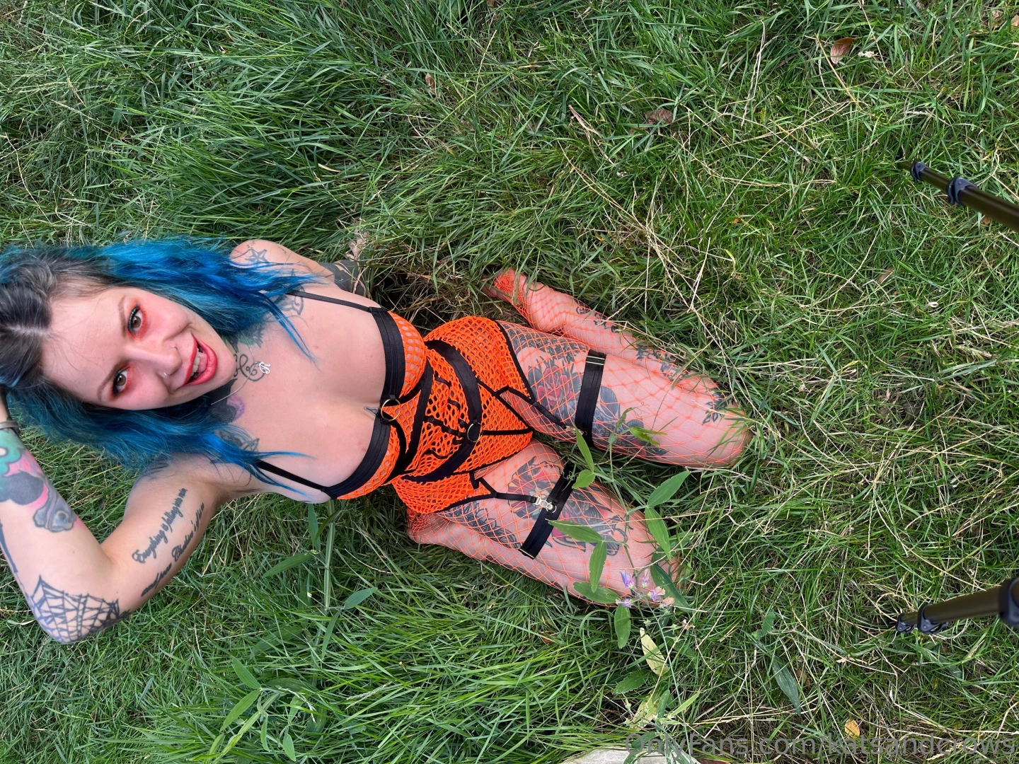 So where did you focus first 