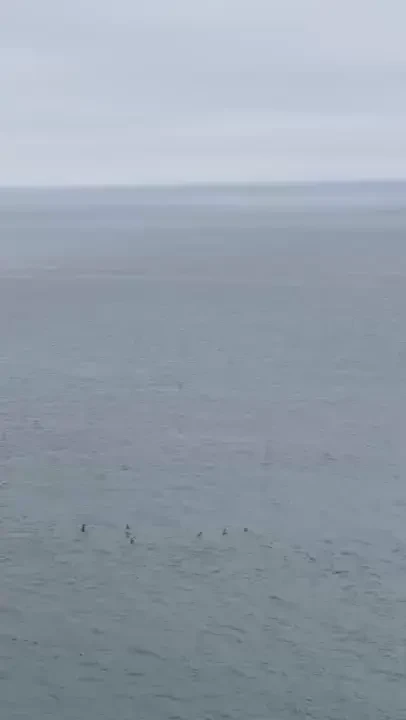 Sorry i ve been mia there s has been allot going on this month i don t part 1 