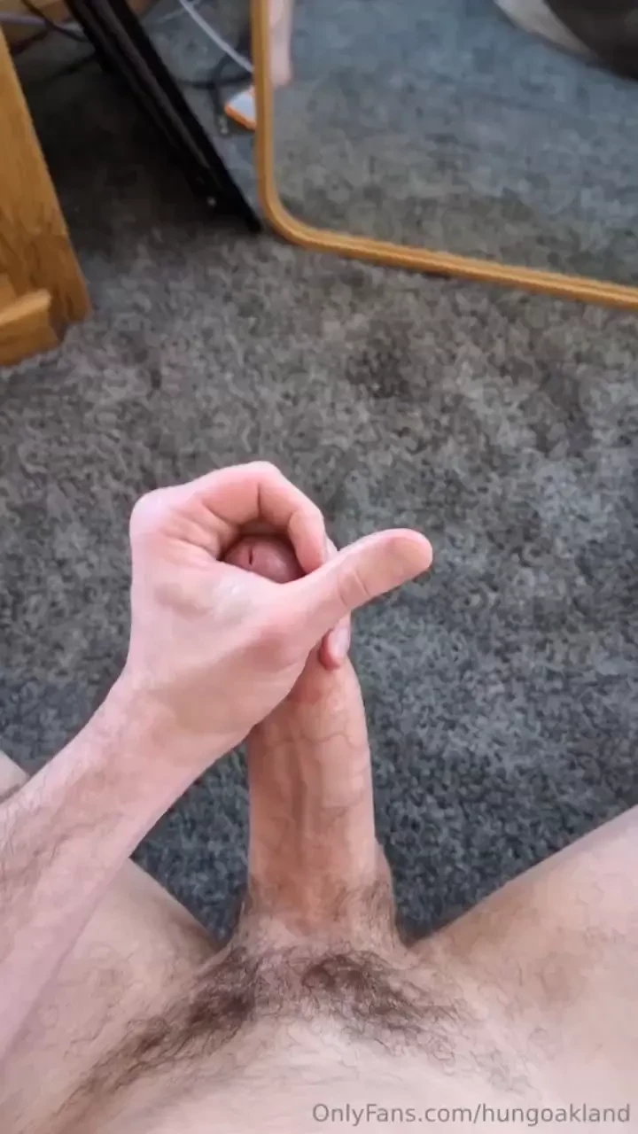 This is perfect lighting for some afternoon relief 