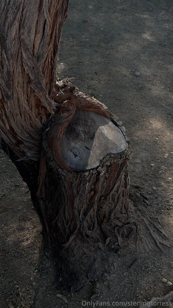 Love is all around us part 2 