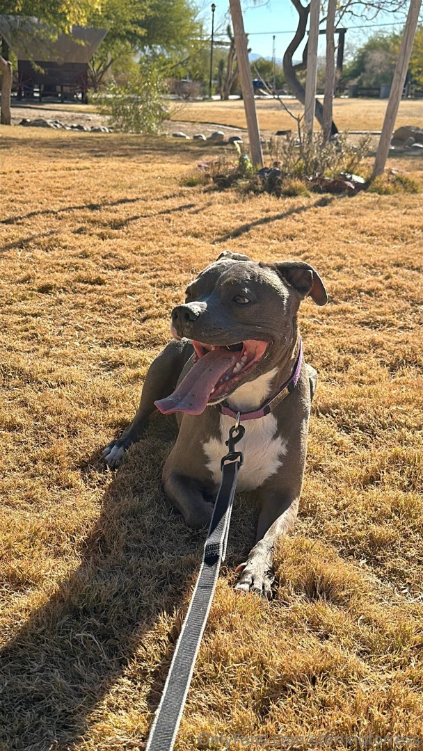 Love is all around us part 1 