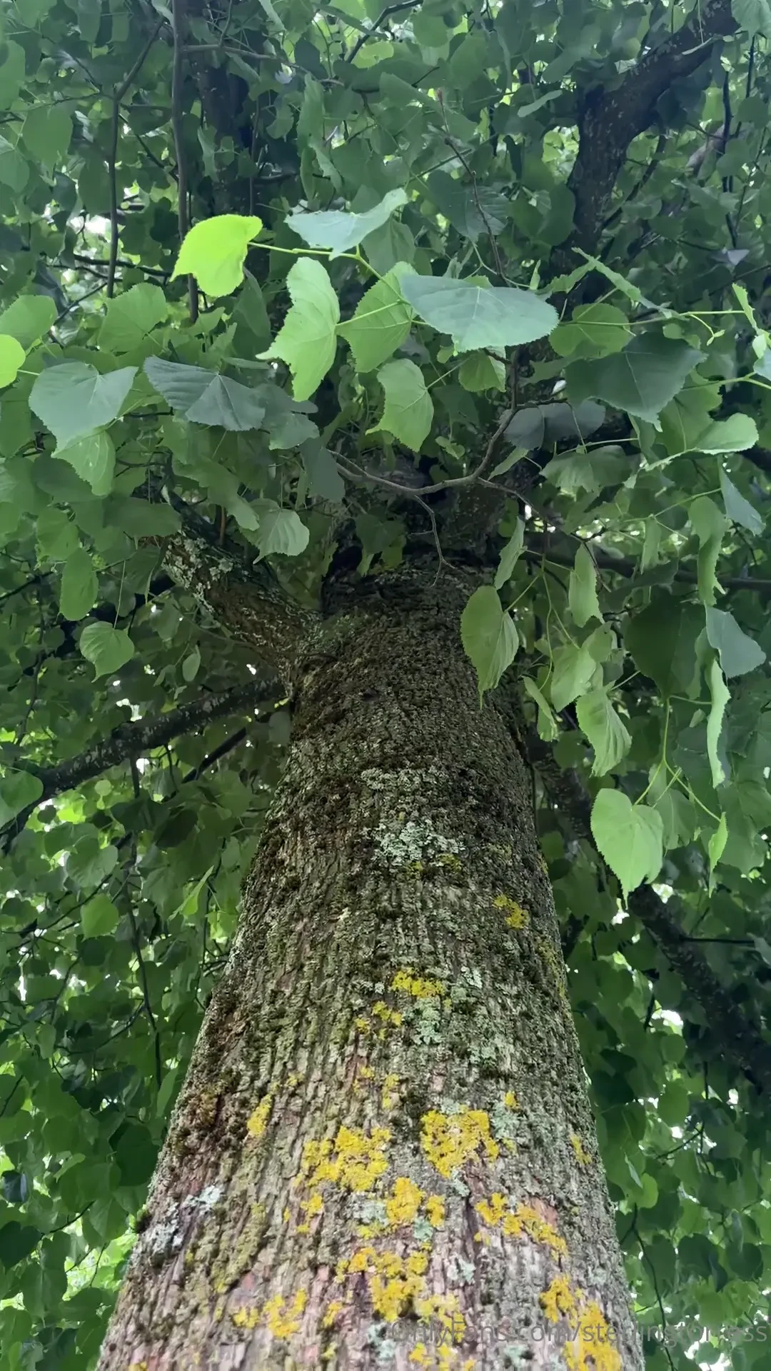 Take a pause with us 