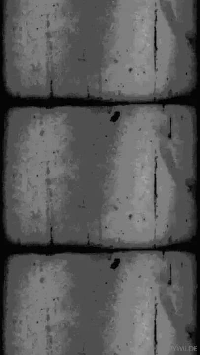 January is not to be missed my darling solo b g and all past content 