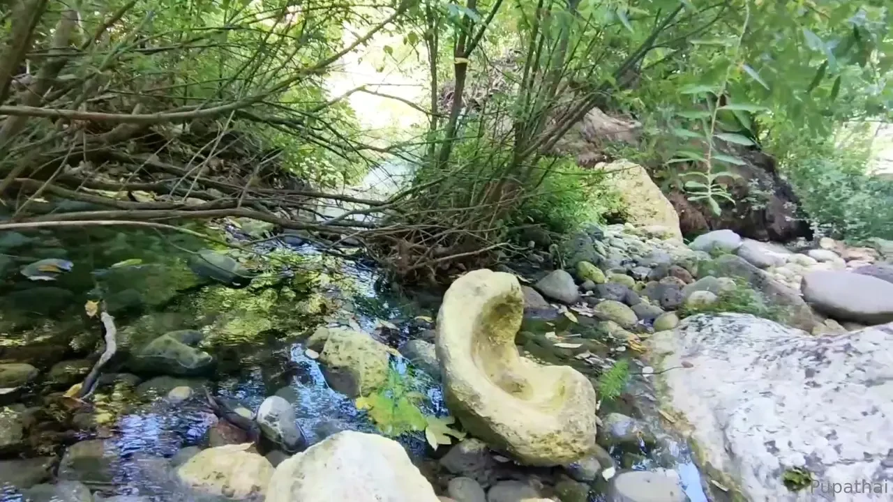Ciao pupotti qui ancora fa caldino e ne ho approfittato x godermi gli 
