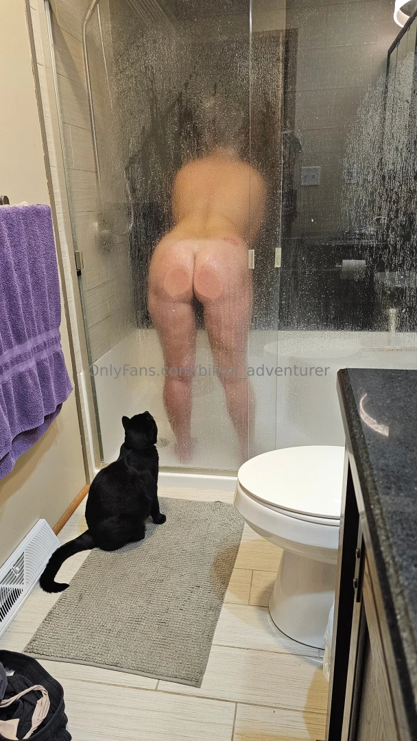 Sorry for the absence but we have been taking care of our kitty who we part 1 