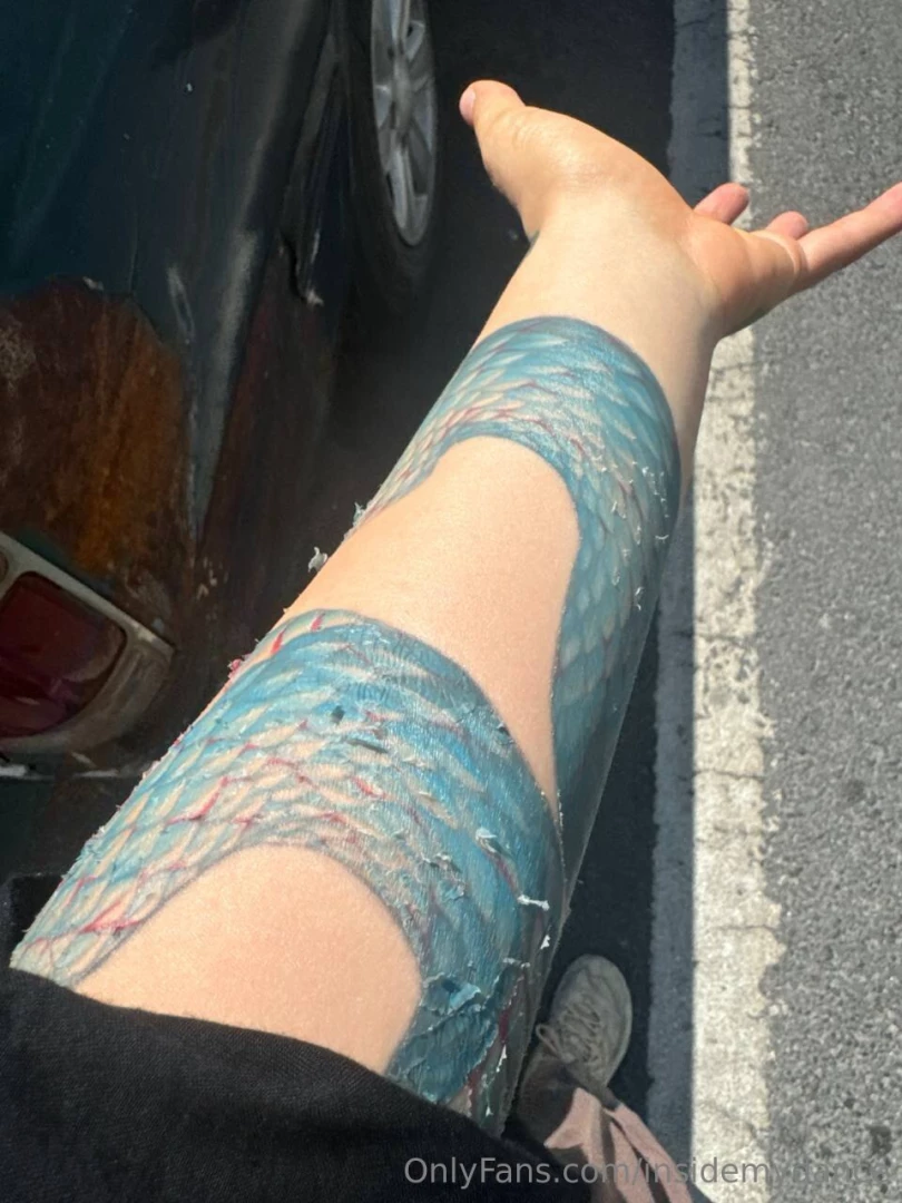 Just the snake sheds its skin 