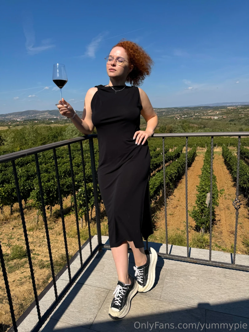 I ve fulfilled my dream i visited vineyards and wineries how part 3 