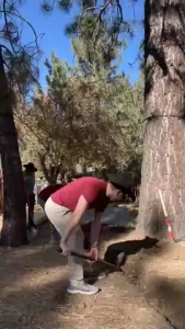 So on my trip to la whenever the fuck that was november i drove up to