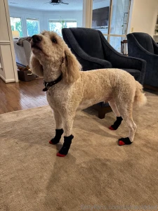 Hey we re moving right now and haven t set up internet at the new