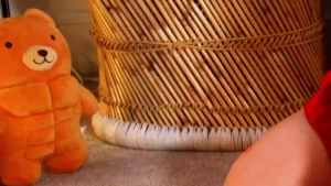 Velma joi coming out tomorrow keep an eye out on your inboxes for it part 1
