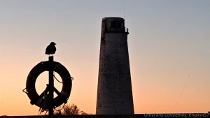 My early morning walk the other day part 1