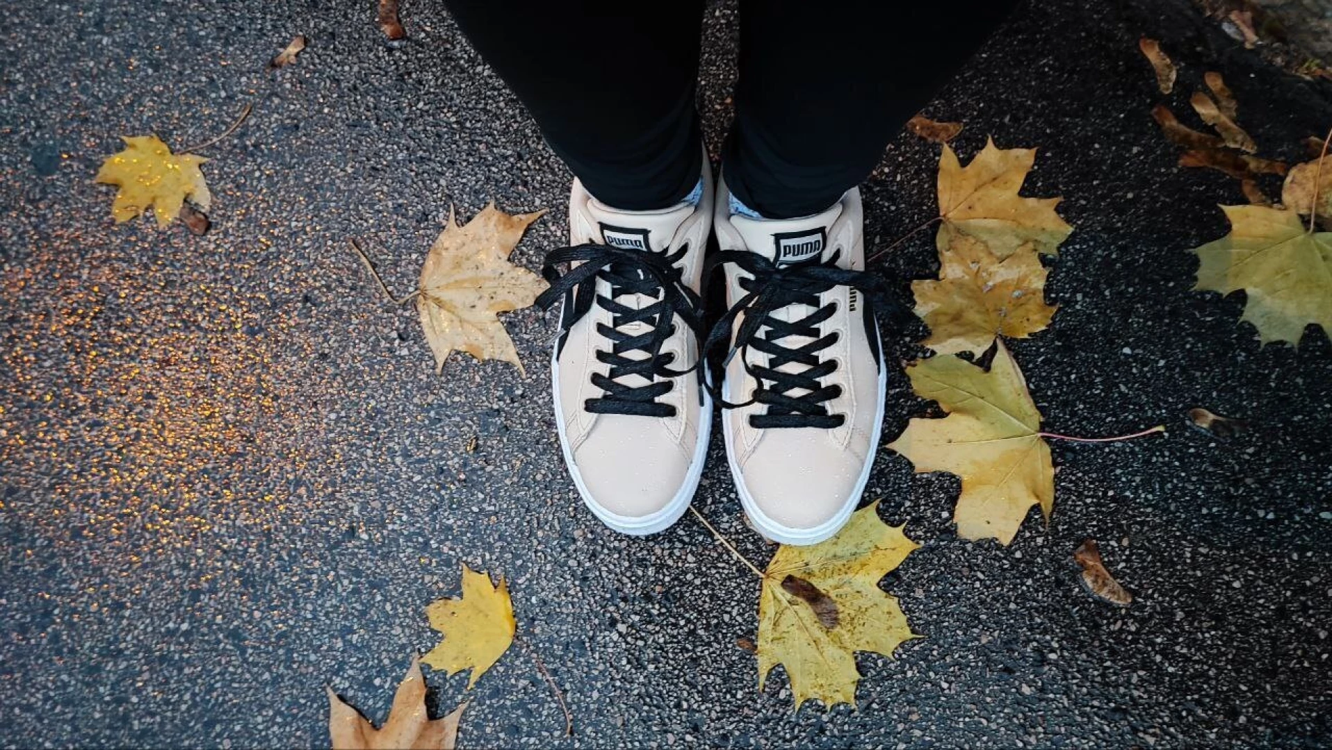 Ah yes october is my favourite month 