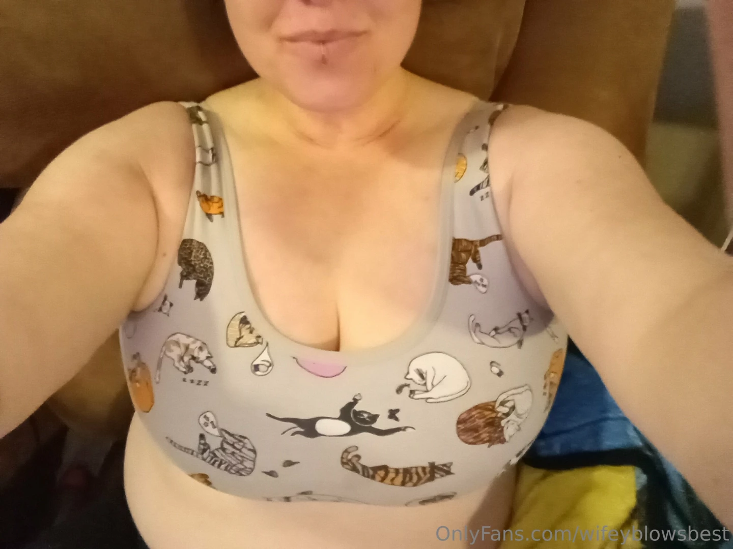 Kitty titties new storytime tomorrow 