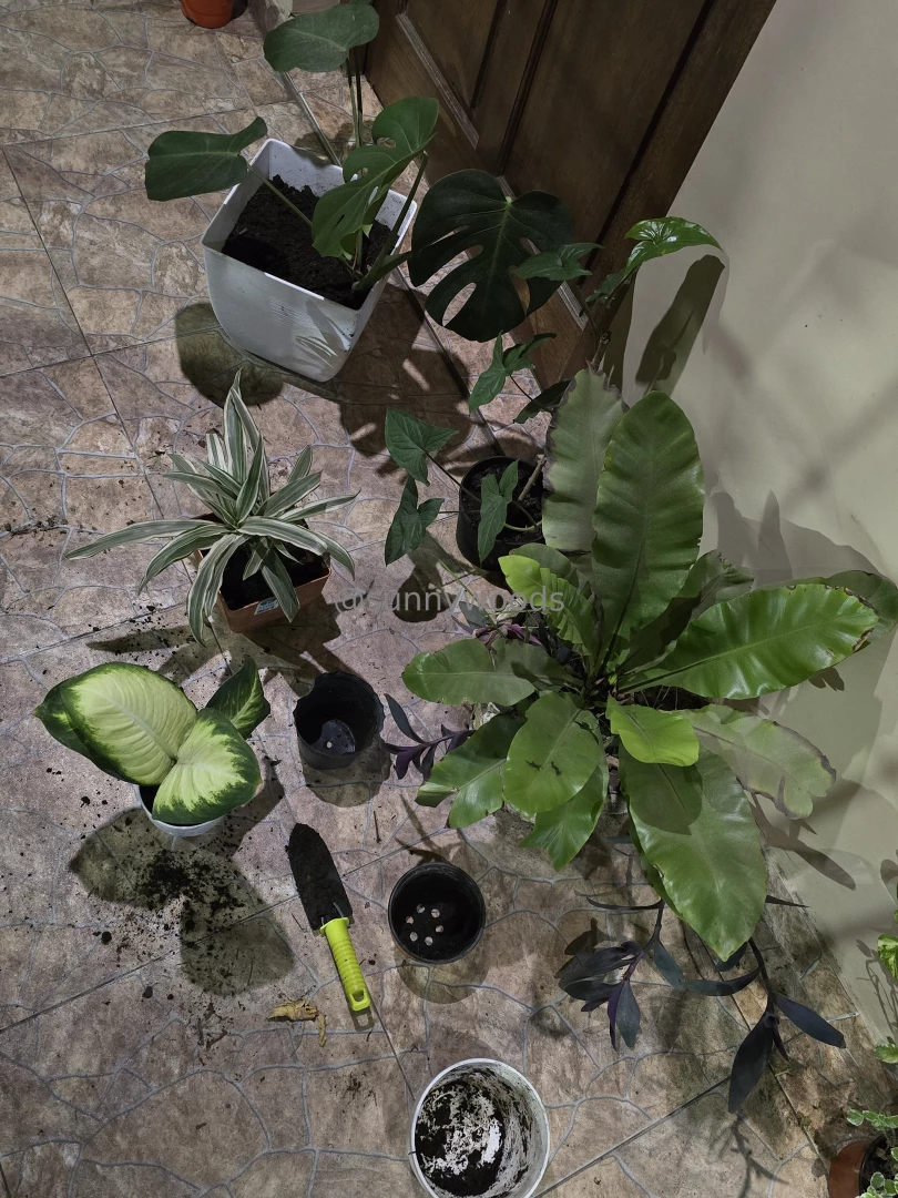 Gardening time today 