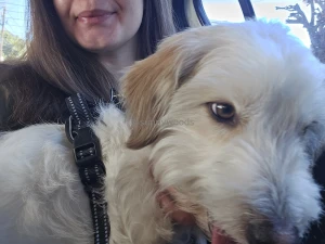 Vaccination day rocket accepts tips for doggie treats