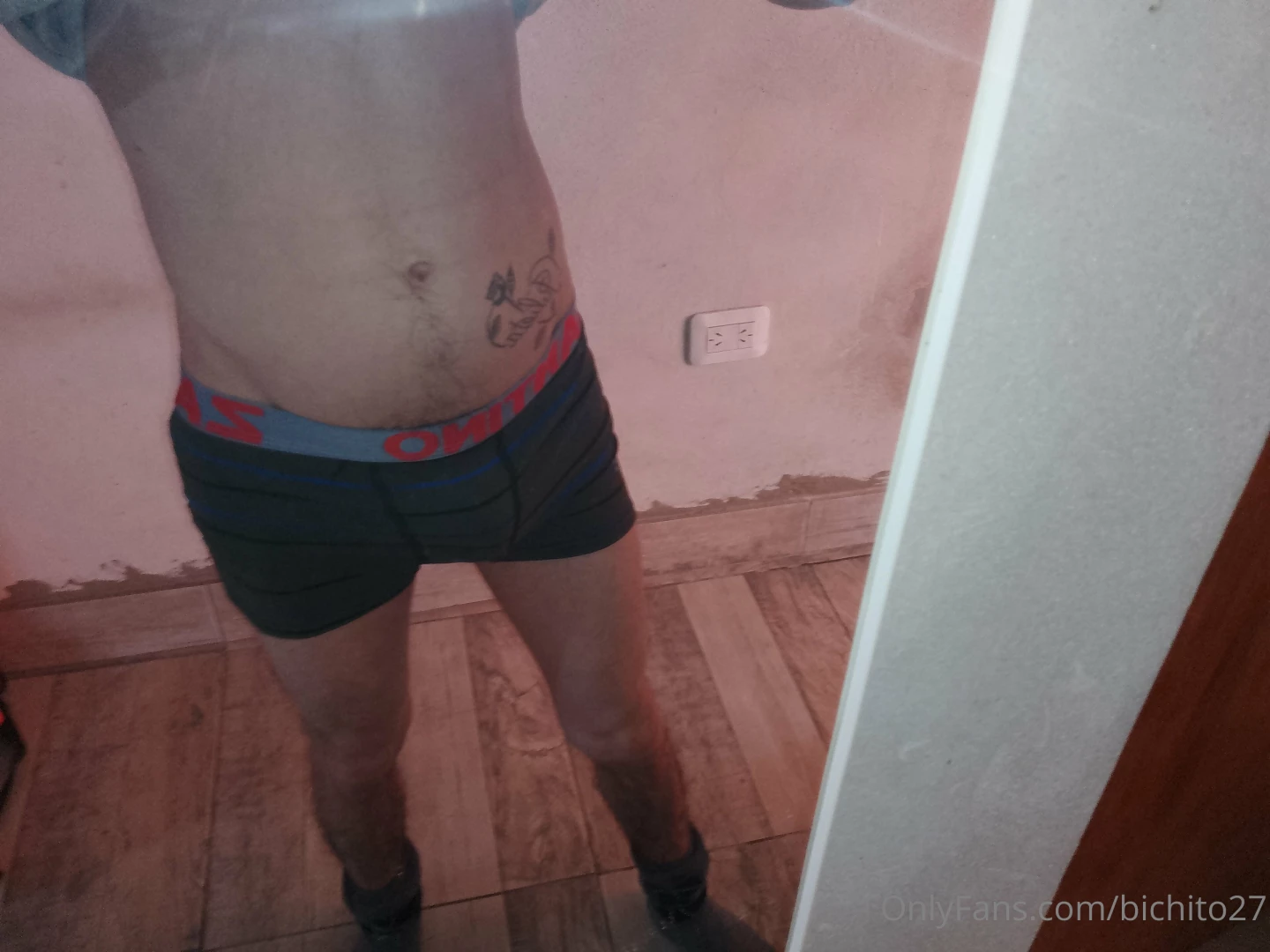 Bichito27 